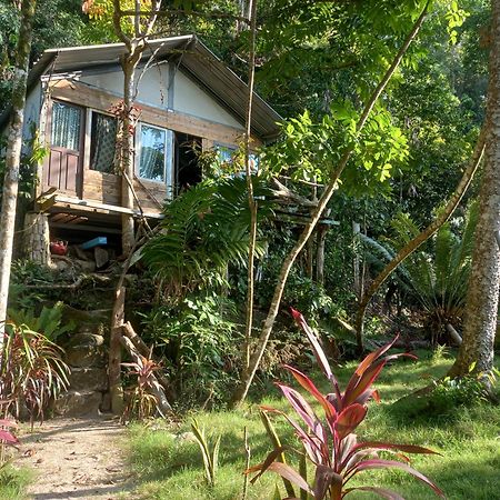 Sumatra Ecolodge Sungaipisang Exteriör bild