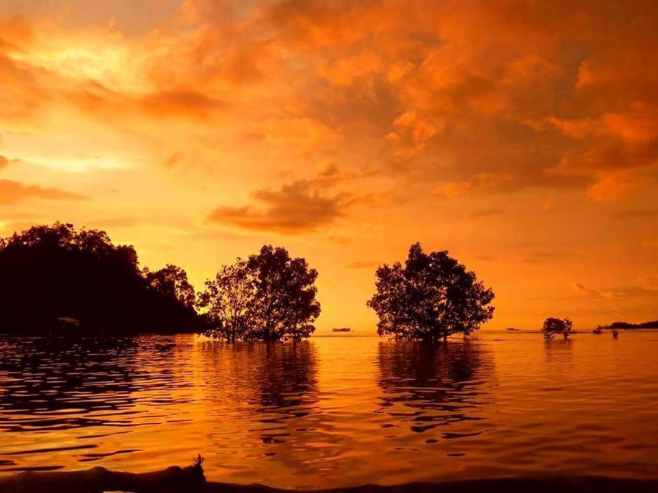 Sumatra Ecolodge Sungaipisang Exteriör bild