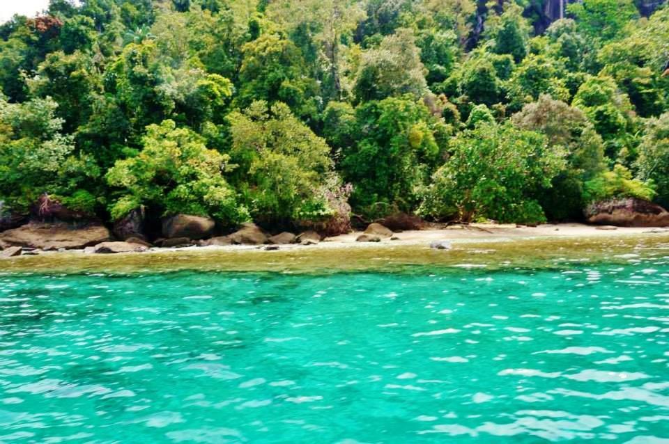 Sumatra Ecolodge Sungaipisang Exteriör bild