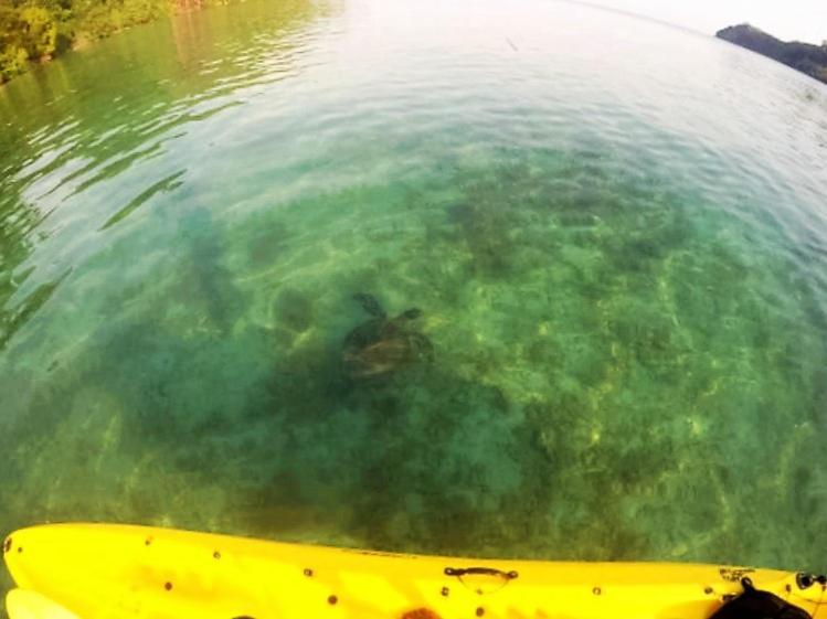 Sumatra Ecolodge Sungaipisang Exteriör bild