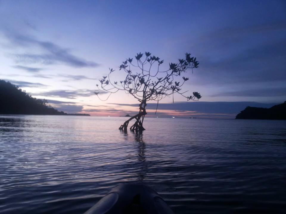 Sumatra Ecolodge Sungaipisang Exteriör bild