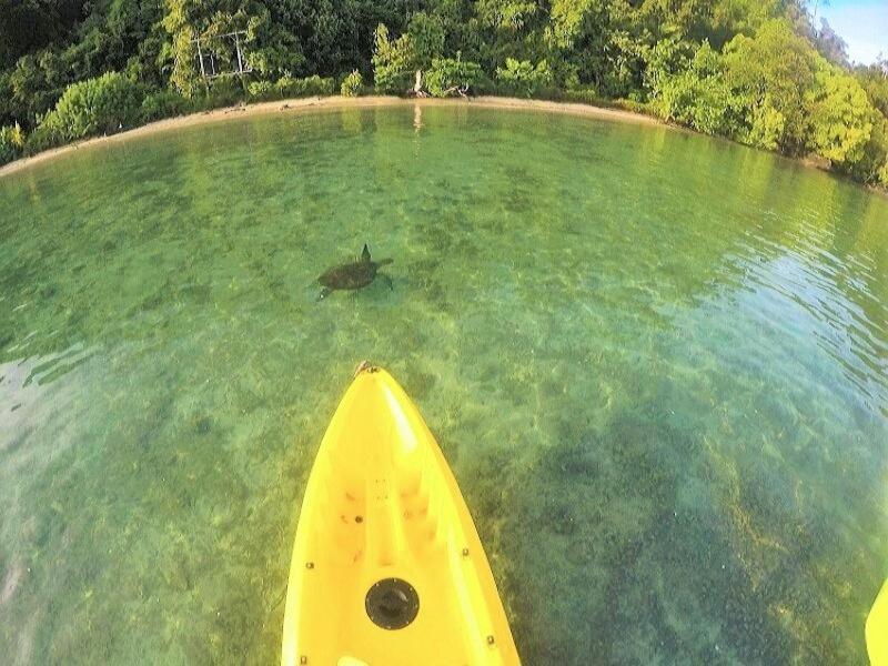 Sumatra Ecolodge Sungaipisang Exteriör bild