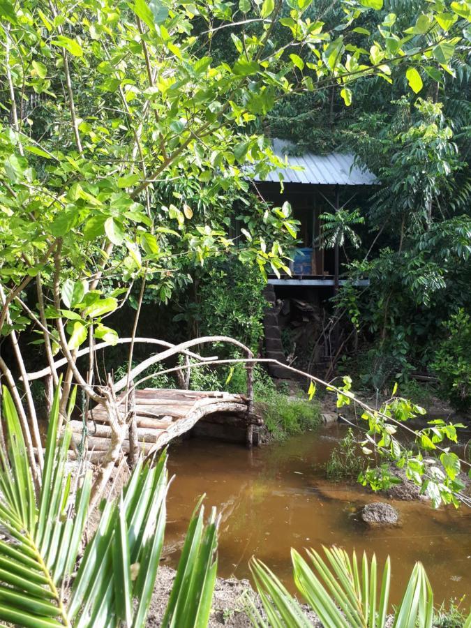 Sumatra Ecolodge Sungaipisang Exteriör bild