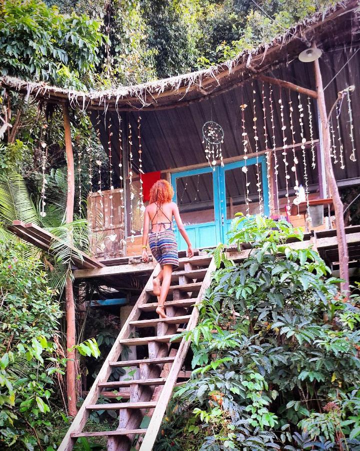 Sumatra Ecolodge Sungaipisang Exteriör bild