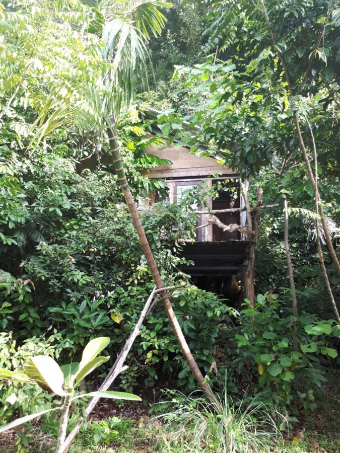 Sumatra Ecolodge Sungaipisang Exteriör bild