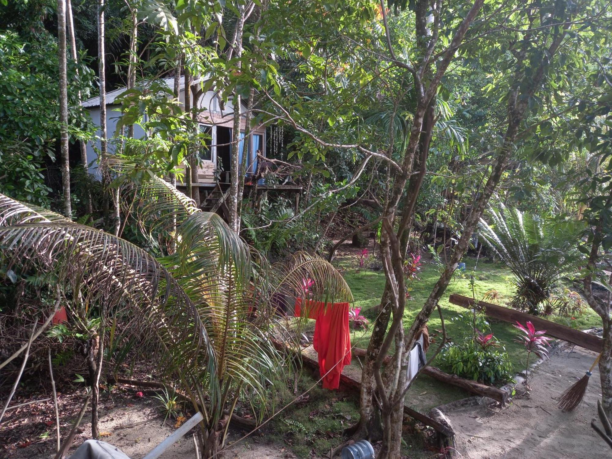 Sumatra Ecolodge Sungaipisang Exteriör bild