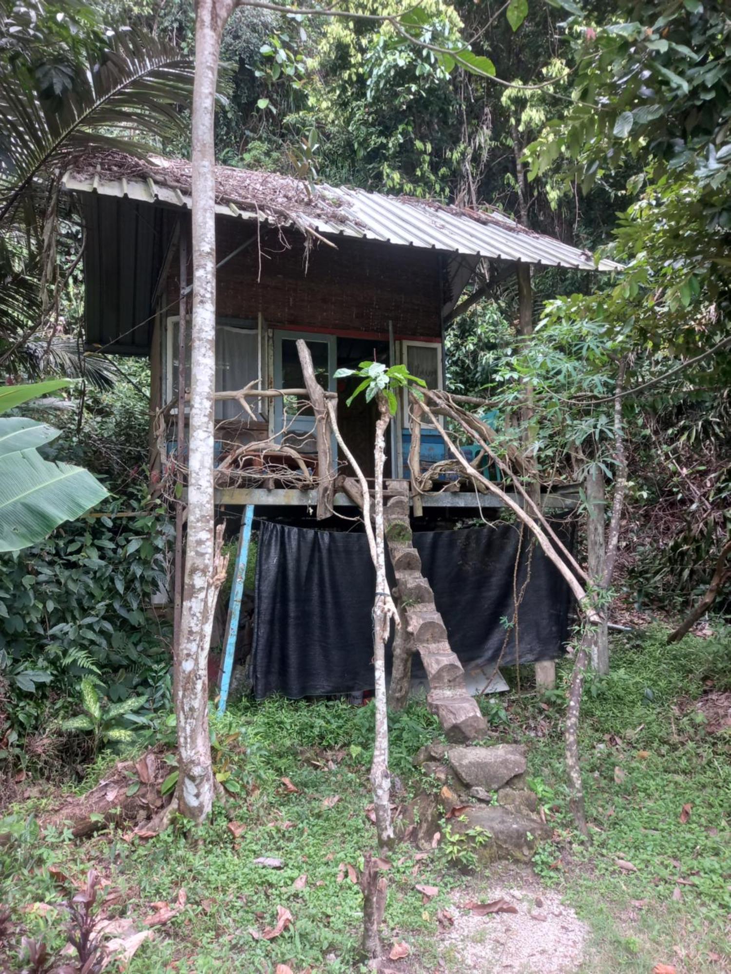 Sumatra Ecolodge Sungaipisang Rum bild
